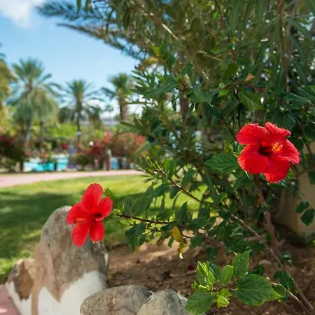 Ξενοδοχείο Hl Miraflor